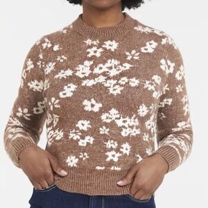 ZSupply Tan/Brown and White Women's Crew Neck Sweater